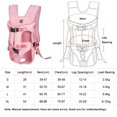 thumbnail image 5 of Transportín para perros a la moda, mochila portátil de viaje para perros, gatos, cachorros, bolsas de transporte para mascotas, accesorios universales para perros al aire libre, 5 of 5