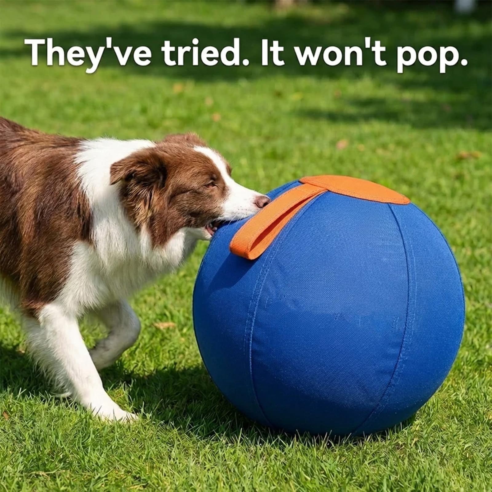 Bsklri Herding Ball, Complete Tear-Resistant Herding Ball for Dogs, Inflatable Interactive Pet Training Play Balls, Tough Chew-Resistant Outdoor Exercise Gear for Large Breeds & Horses