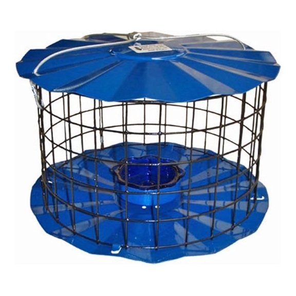 Bluebird Feeder - Squirrel Proof Design with Mealworm Cup - Attracts Wild Birds - Durable Powder Coated Metal - Made in USA