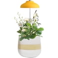thumbnail image 1 of GrowLED LED Umbrella Plant Grow Light, Herb Garden, Height Adjustable, Automatic Timer, UL Adapter Included, Ideal for Plant Grow Novice Or Enthusiasts, Various Plants, DIY Decoration, Mellow Yellow, 1 of 5