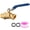 Brass 1/2→3/4 Valve, variant on 2 Pack 3/4" NPT Stainless Steel Ball Valve, 304 SS Male x Male Full Port Water Shut Off Valve, High Pressure Leak-Resistant for Outdoor Plumbing and Garden Use