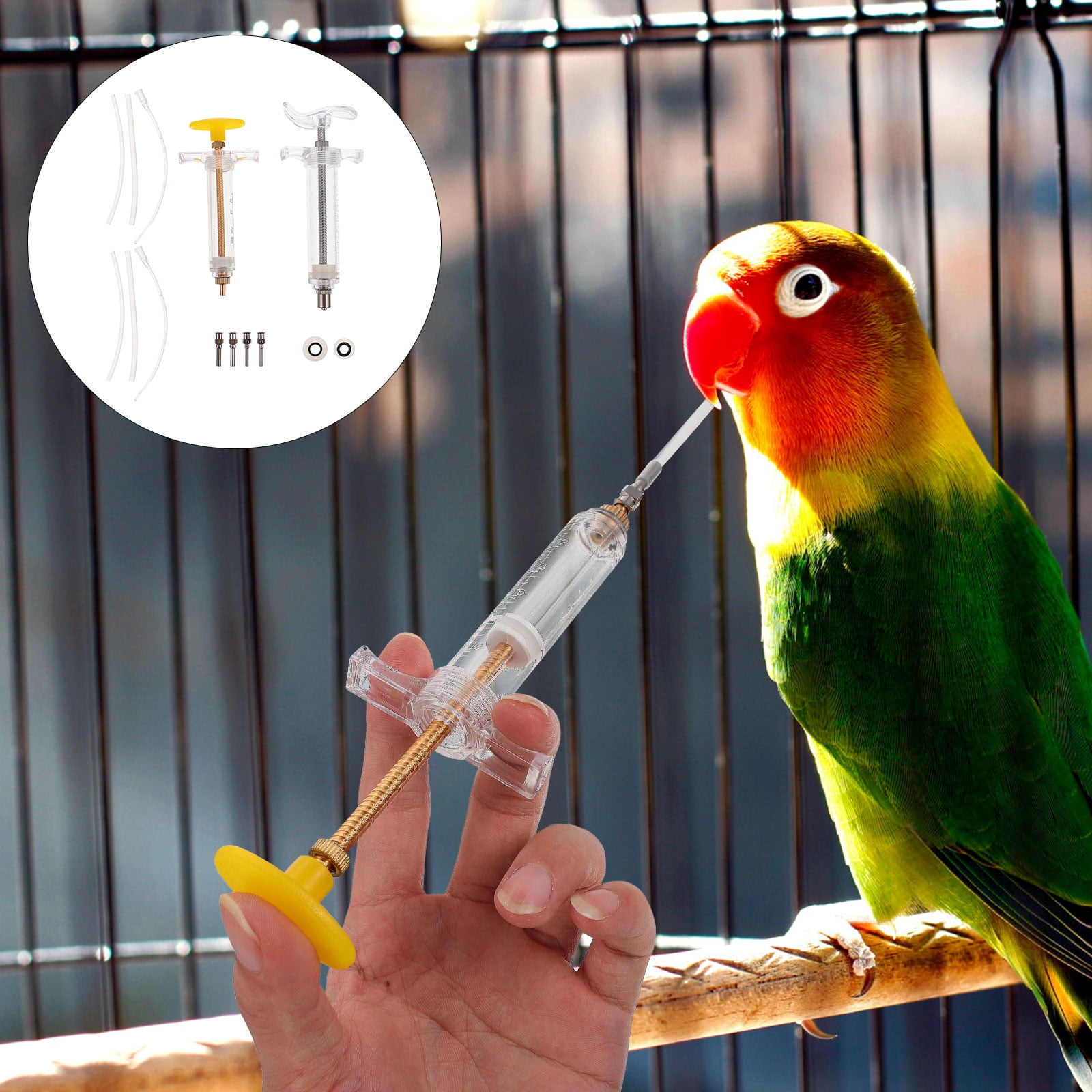 Stainless Steel Bird Feeding Spoons 2PCS, Feed Medicine Milk Food Formula  By Hand to Baby Pets & Birds via Metal Feeder Kit, No Need Veterinary Visit  Needle Syringe Tube or Handfeeding Beak