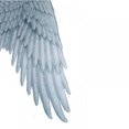 thumbnail image 5 of EFINNY 3D Printed Angle wing Festive Party Props Angel wing Costumes for Cosplay Decorative wing, 5 of 5
