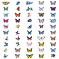 thumbnail image 5 of 200 pegatinas de vinilo con forma de mariposa para botellas de agua, vasos, maletas, patinetas, parachoques, álbumes de recortes, tazas, pegatinas de regalo para niños, adolescentes y adultos, 5 of 5