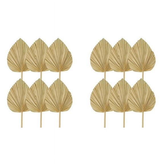 12PC Dried Palm Leaves Natural Fans,Large Spear for Boho Wedding Decor,Tropical Decoration S
