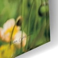 thumbnail image 3 of Epic Art 'Poppy Field' by Elise Catterall, Acrylic Glass Wall Art, 24"x16", 3 of 8