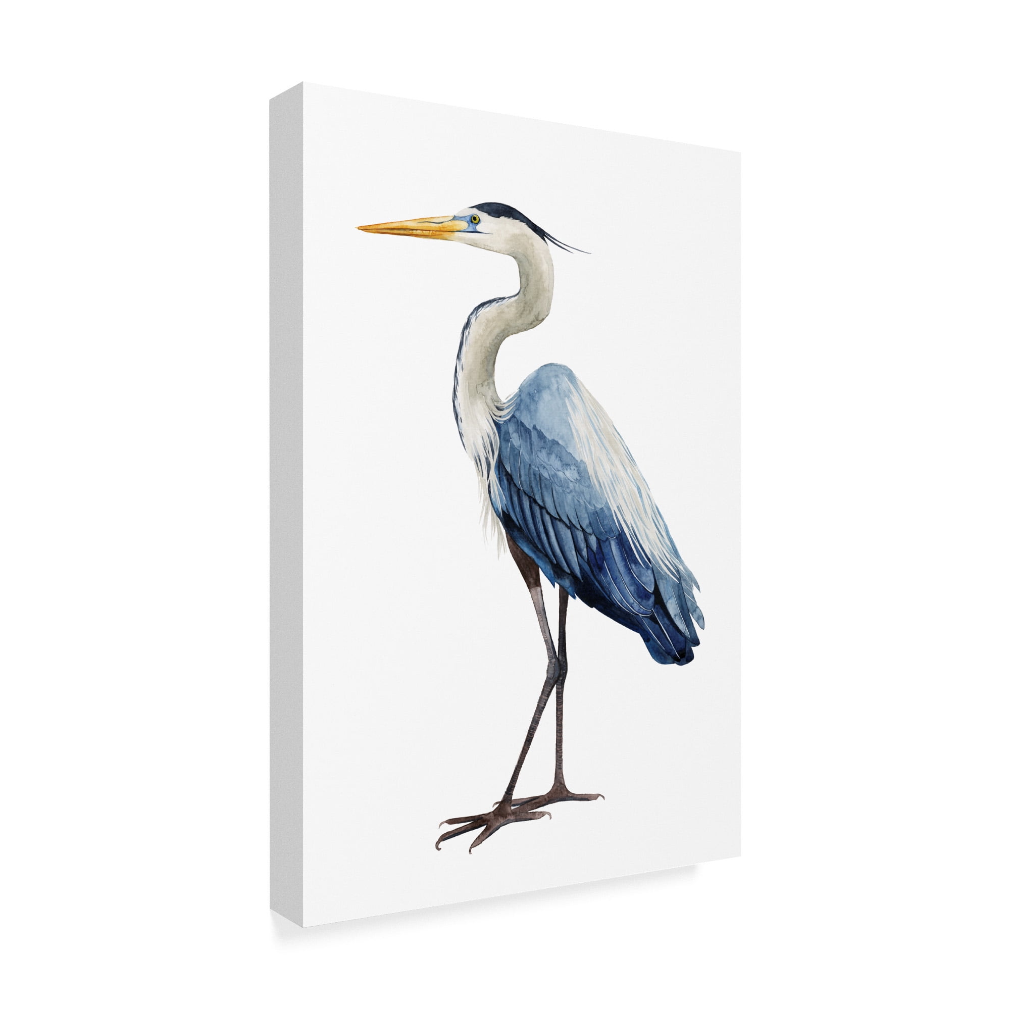 Trademark Fine Art 'Seabird Heron I' Canvas Art by Grace Popp