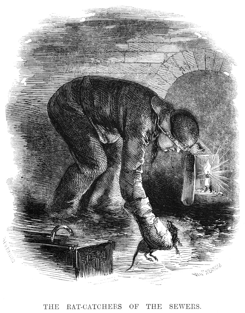 Rat Catcher 19Th Century Nthe Rat Catchers Of The Sewers Wood Engraving