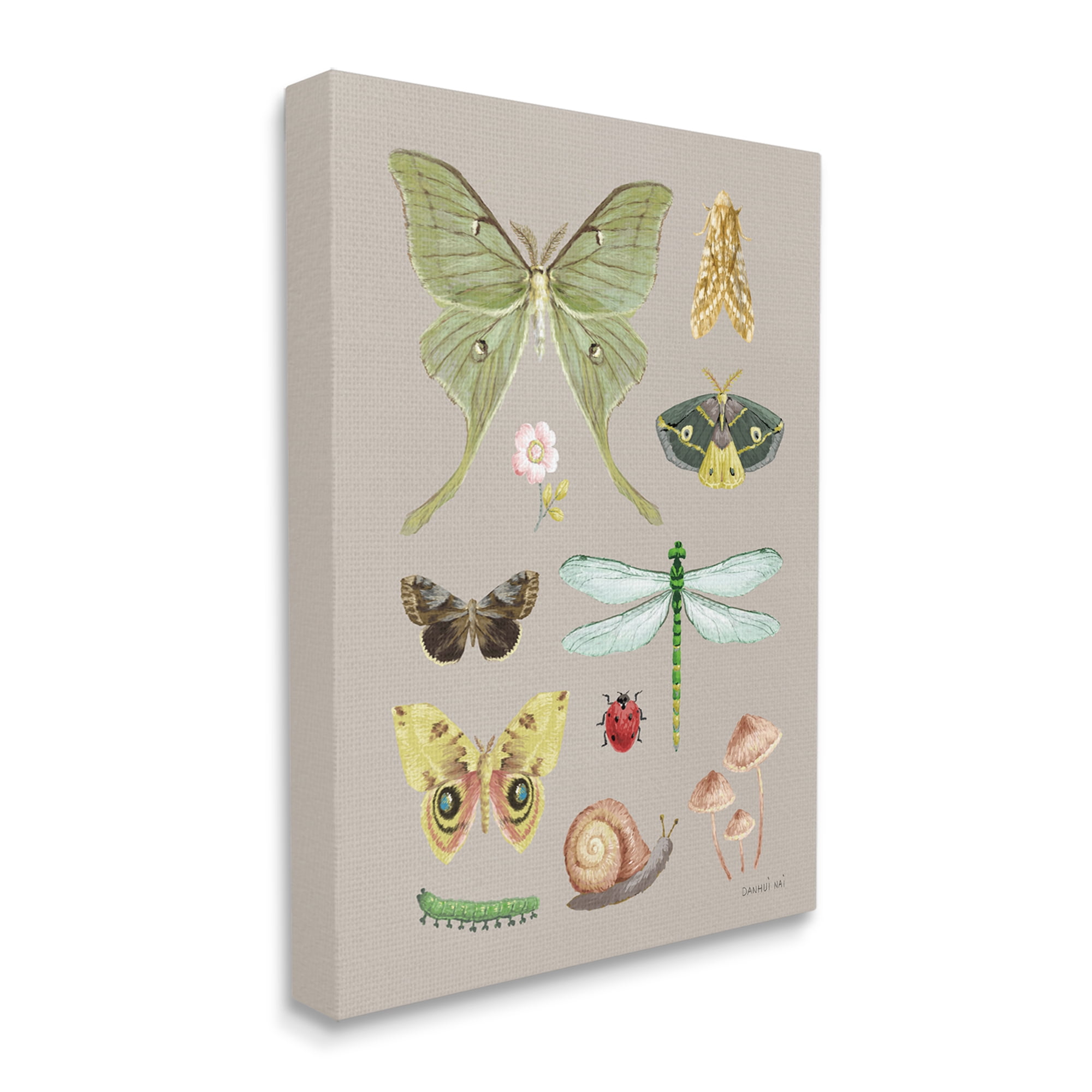 Stupell Industries Various Insect Studies Animals & Insects Painting Gallery Wrapped Canvas Print Wall Art, 30 x 40