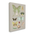 thumbnail image 3 of Stupell Industries Various Insect Studies Animals & Insects Painting Gallery Wrapped Canvas Print Wall Art, 16 x 20, 3 of 7