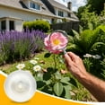Uxcell 1Pcs Fresnel Lens, 100mm Diameter Acrylic Lens Solar Focal ...