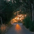 thumbnail image 2 of Rita Crane 20x20 Gallery Wrapped Canvas Wall Art Titled - The Road Home, 2 of 4