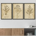 thumbnail image 3 of wall26 Framed Canvas Print Wall Art Set Vintage Retro Plant Herb Seasonings Nature Floral Illustrations Modern Art Rustic Botanical Relax/Calm for Living Room, Bedroom, Office - 24"x36"x3 B, 3 of 5