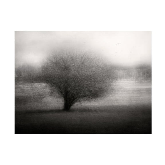 Canvas Wall Art - Delphine Devos 'On The Meadow' Wall Art for Living Room, Bedroom, or Office Décor by Trademark Fine Art - 19 x 14 Inches