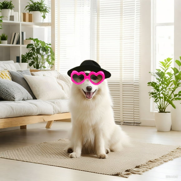 Small Dog Sunglasses Goggles Eye Wear Adjustable Strap Doggy Heart Shape Fog Sun for Pet Dogs Windproof Glasses
