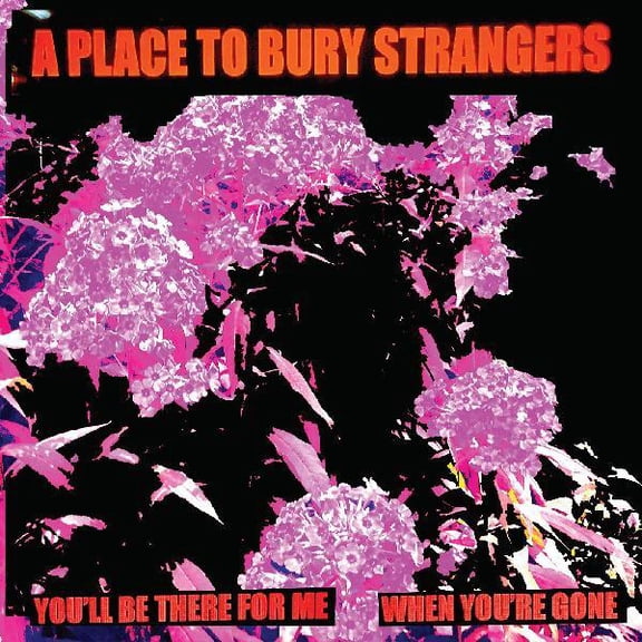Place to Bury Strangers - You'll Be There For Me / When You're Gone - Music & Performance - Vinyl [7-Inch]