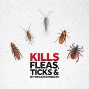 Raid Flea Killer, Kill Fleas & Ticks on Dogs at Home, 16 oz
