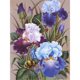 thumbnail image 1 of Dibujo Iris Pintura al óleo por números Kit Imagen sin marco Decoración de la pared de la habitación del hogar Hugtrwg Para estrenar, 1 of 9