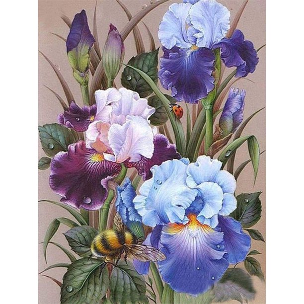 Dibujo Iris Pintura al óleo por números Kit Imagen sin marco Decoración de la pared de la habitación del hogar Hugtrwg Para estrenar
