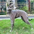 thumbnail image 6 of HQREA Greyhound Onesie Full Body Jumpsuit Coat Four Leg Winter Warm Turtleneck Dog Pajamas Apparel, 6 of 6