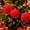 Red22, variant on Christmas Home Decor, 15cm Christmas Flocking Ball Ornament, Holiday Decor, Christmas Ball, for Xmas Tree, Home, Party, Holiday Christmas Decorations