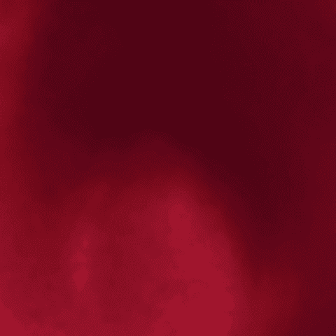 310 Optic Ruby