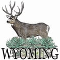 thumbnail image 3 of CafePress - Wyoming Buck Dark T Shirt - Men's Classic Cotton T-Shirts, 3 of 3