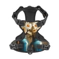 thumbnail image 4 of Lsque Rustic Daisy Mason Jars Dog Harness, No-Pull Pet Harness with 2 Leash Clips, Adjustable Soft Padded Dog Vest with Easy Control Handle for Large Dogs-X-Large, 4 of 9
