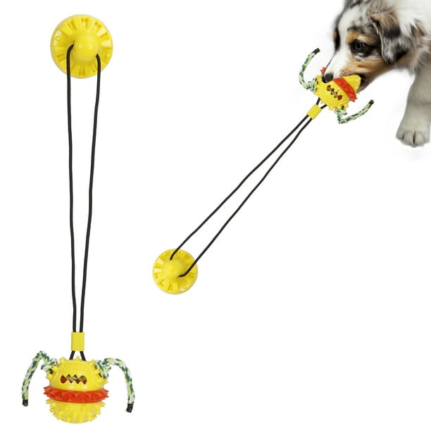 Dog toy suction floor hotsell