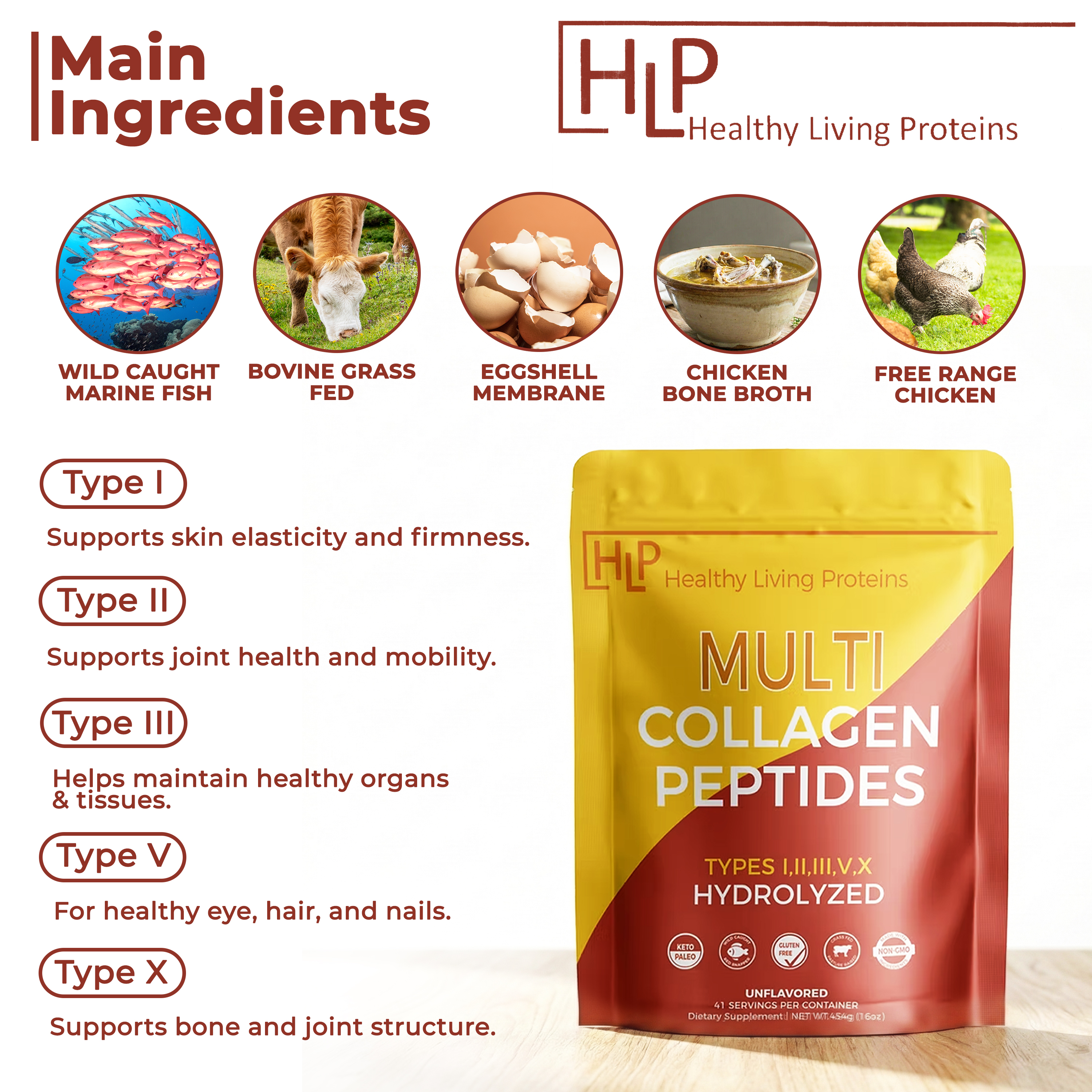 Healthy Living Proteins Hydrolyzed Multi Collagen Peptides Powder with Probiotics, Grass-Fed Unflavored Collagen Protein (Types I, II, III, V, X), Supports Skin, Hair, Nails & Joints, 41 Servings