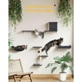 thumbnail image 3 of Wall Cat Shelves for Large Adult Cats, Stable 5 in 1 Cat Wall Furniture Set with Big Hammock, Wall Mount Climbing Stairs Perch Bed for Big Cats, Sisal Scratching Post, 3 of 8