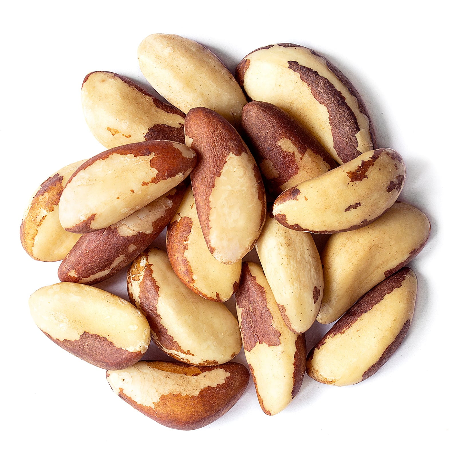 Food to Live, Brazil Nuts, 1 Pound, Non-GMO, Raw