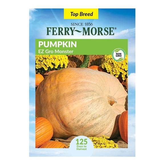 Ferry-Morse 1.8G Pumpkin EZ Grow Monster Annual Vegetable Seeds, Full Sun
