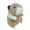 Guinea Pig, variant on 5.12" Super Soft Guinea Pig Doll Plush Toy, Cute Plush Stuffed Animal with Realistic Details, Adorable Home Decor and Huggable Gift for All Ages(D)