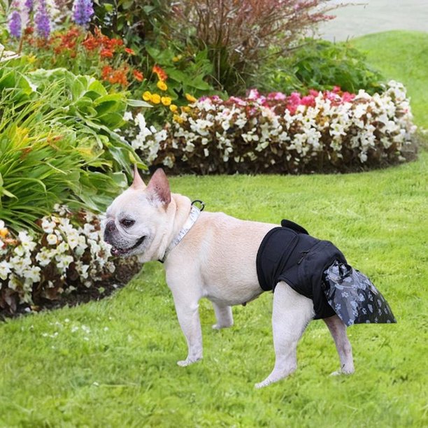 Pantalones De Pañal Para Perros Pantalones Impermeables Para Recoger Excrementos De Perros Para Viajes Largos Senior XL SG