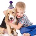thumbnail image 4 of Hukapapa 3 paquetes de mini sombrero de cumpleaños para perros pequeños, sombreros de fiesta para gatos, diadema para el cuidado de cumpleaños de mascotas, accesorios estilo 4, 4 of 5