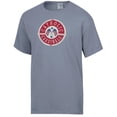 thumbnail image 2 of Men's ComfortWash Gray Catholic University Cardinals Flag T-Shirt, 2 of 3