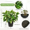 thumbnail image 2 of Artificial Plants Indoor Fake Pothos N‘ Joy Potted Plant in Black Pots for Bathroom Living Room Office Desk Shelves, 2 of 4