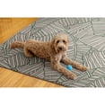 thumbnail image 4 of Linon Outdoor Washable Apia Polyester Area 5'x7' Rug in Ivory and Green, 4 of 8