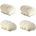 thumbnail image 2 of Conchas para hornear YONGSHENG Natural 3,25 pulgadas Juego de 12, 2 of 3
