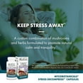 thumbnail image 4 of Host Defense MycoBotanicals Stress Decompress* Capsules - 60 Capsules (30 Servings), 4 of 8