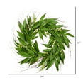 thumbnail image 2 of Vickerman 24" Artificial Green Willow Wreath., 2 of 2