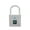 P4-SILVERY, variant on USB Rechargeable Door Smart Lock Fingerprint Padlock Quick Unlock Zinc alloy Metal High identify Security lock ,Security Locking