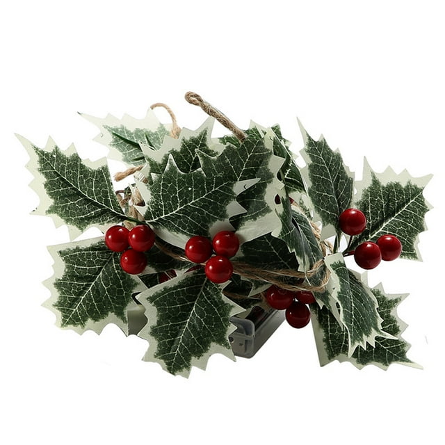 LED Battery Powered String Lights , Winter Holiday, New Year Parties, DIY Home Mantel Decoration