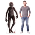 thumbnail image 3 of Cardboard People Weasel Life Size Cardboard Cutout Standup - WB The (2021 Film), 3 of 3