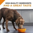 thumbnail image 6 of Purina Pro Plan Pate Wet Dog Food, SAVOR Chicken & Rice Entree, 13 oz. Can, 6 of 11