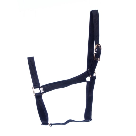 Jeffers Equine Turnout Nylon Halter for Horses, Black - 2 Ply Durable Nylon Webbing, Adjustable Headcollar w/ Metal Hardware, Equestrian Horse Halter for Stable & Ranch Use - 2 Year Old 600-900 lbs