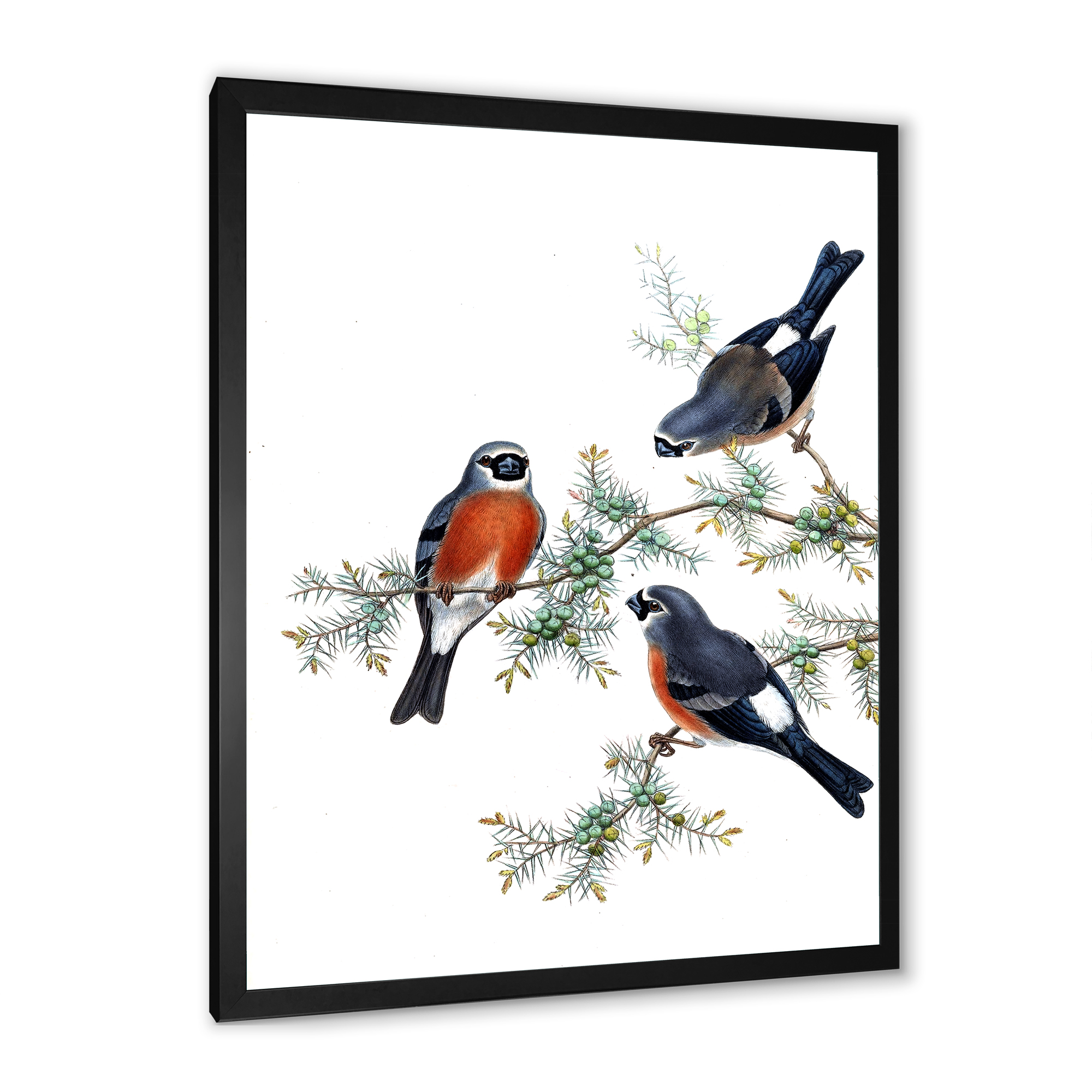Designart 'Vintage Countryside Birds On Branch III' Farmhouse Framed Art Print