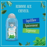 Le Petit Marseillais SHAMPOO ANTI DANDRUFF MINT ESSENTIAL OIL
