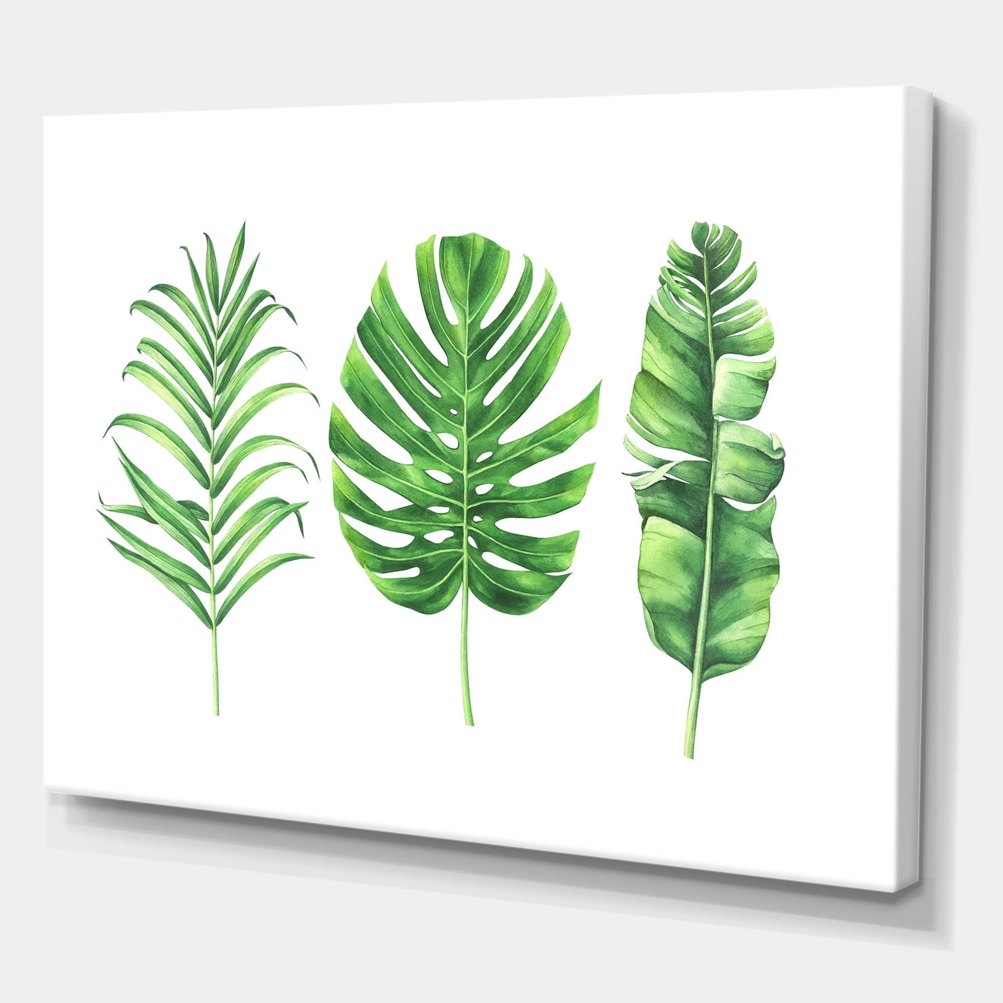 Designart ' Close Up Of Tropical Leaf Of Monstera IV ' Farmhouse Canvas Wall Art Print